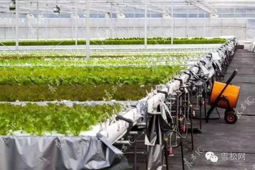 物联网技术在植物工厂的应用